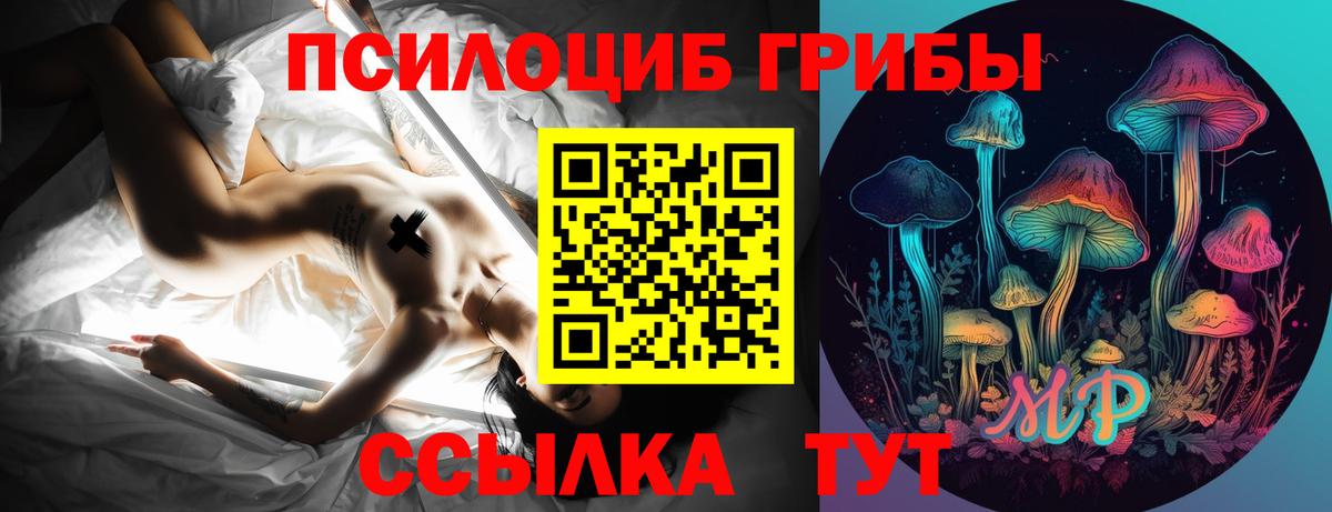 Псилоцибиновые грибы мухоморы Троицк