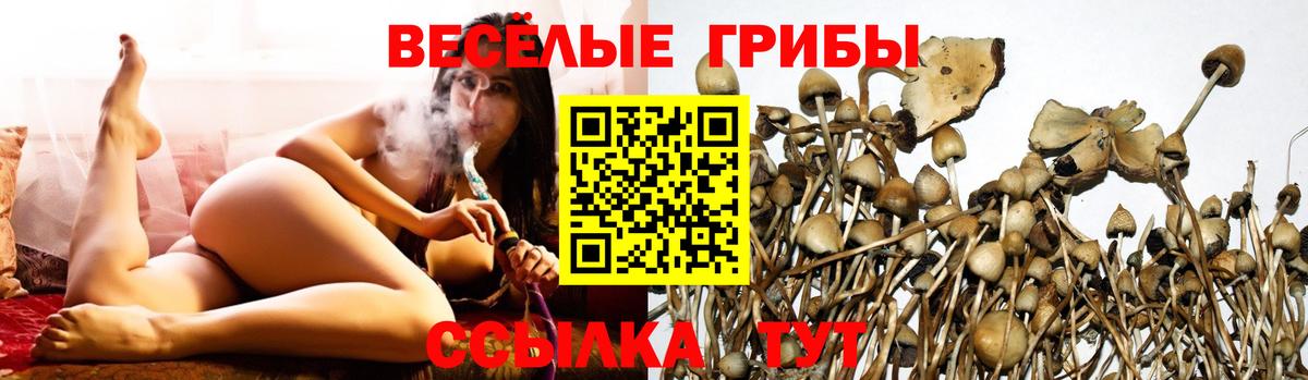 Троицк  Галлюциногенные грибы Magic Shrooms  Вход с VPN 