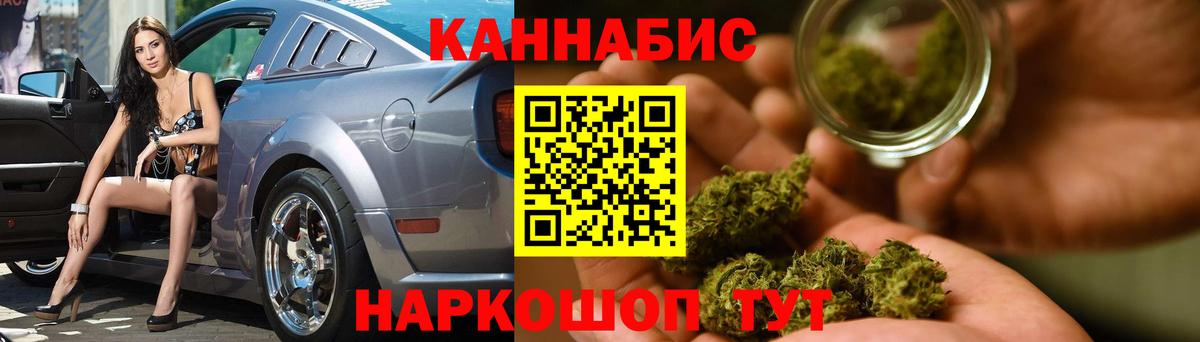 Бошки Шишки план Троицк